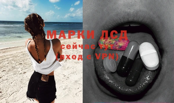 дмт Аркадак