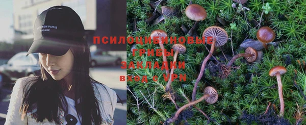 не бодяженный Арсеньев