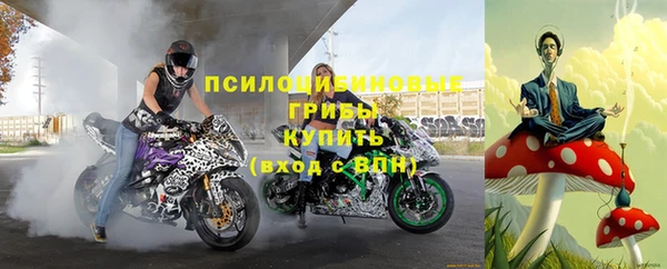 не бодяженный Арсеньев